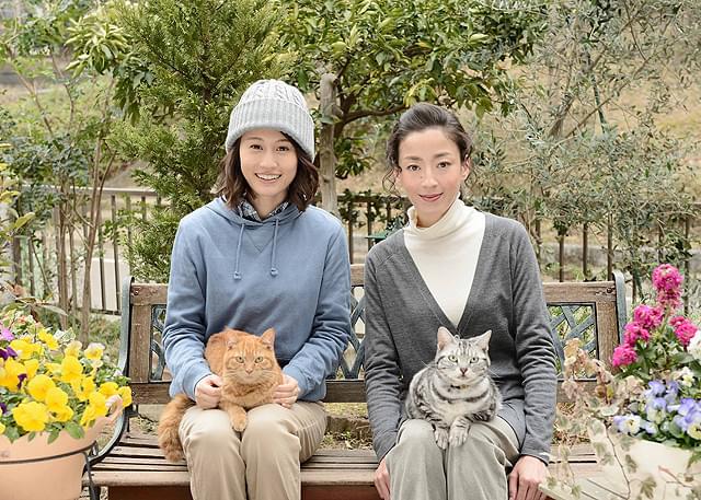 前田敦子、ドラマ「グーグーだって猫である」続編でアシスタント役に イッセー尾形、西田尚美も出演