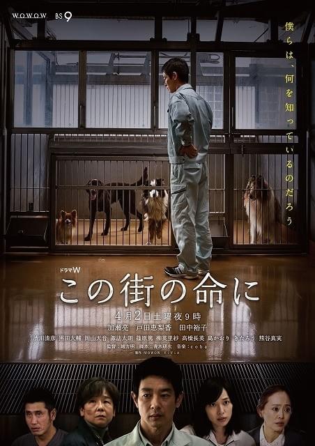 「この街の命に」ポスタービジュアル