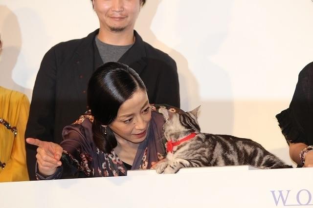 宮沢りえ＆黒木華、もふもふネコをナデナデ「想像を超える名演技」