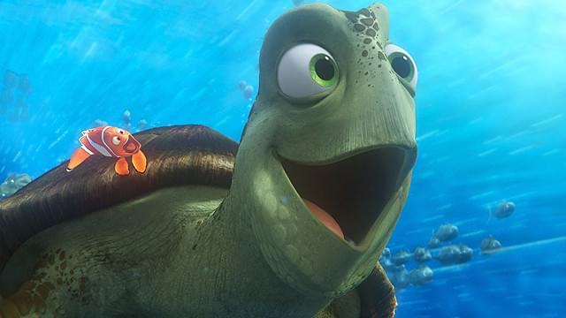 アオウミガメのクラッシュが再登場！