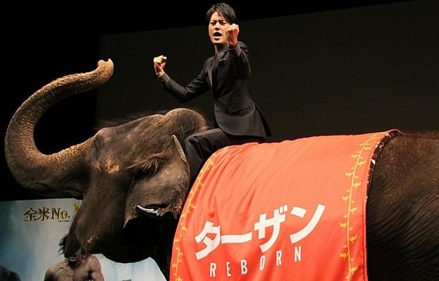 ゾウの扱いも手慣れた様子