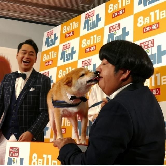 柴犬、ミニブタ、ワシミミズク！個性あふれる“ペット”たちにバナナマンがメロメロ