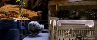 人間界に逃走中！「ファンタスティック・ビースト」魔法動物6体を鮮明にとらえた画像入手
