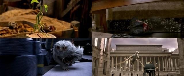 ボウトラックル（写真左上）は主人公と仲よし？