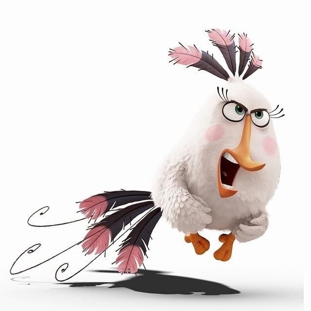 普段は温厚な鳥・マチルダがひょう変！