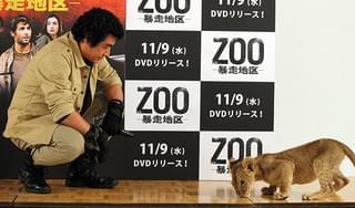 藤岡弘、探検隊経験生かし子ライオンと対決し名誉の負傷「本能的に急所を知っている」