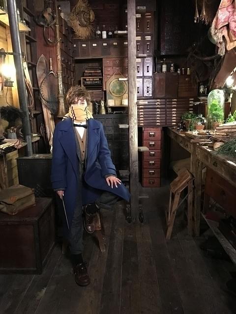 ざわちん風ニュート・スキャマンダー！