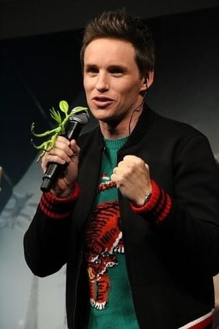 「ファンタビ」来日キャスト、ポッタリアン＆ファンタビスト400人に大盤振る舞い