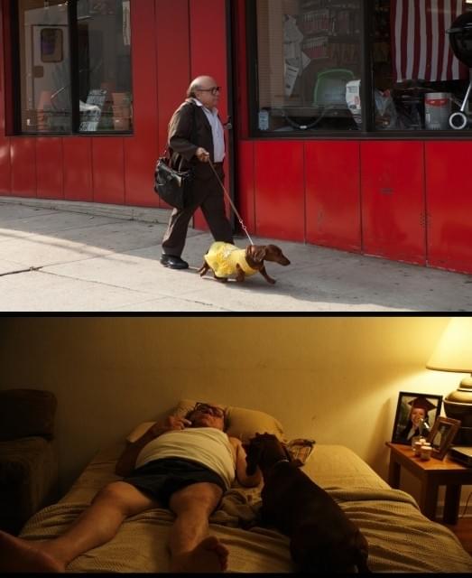 “人生どん詰まり”中年男の悲哀漂う「トッド・ソロンズの子犬物語」本編映像公開