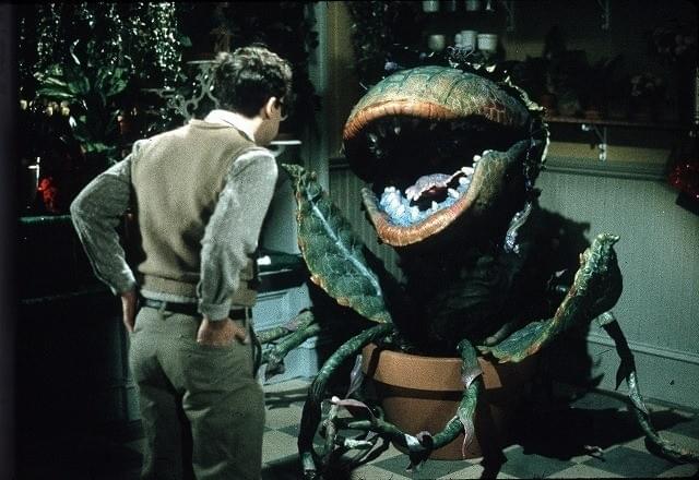 人食い植物オードリーIIが再び歌い出す！