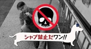 このワンコ、ブチ切れ注意！「トッド・ソロンズの子犬物語」マナー映像