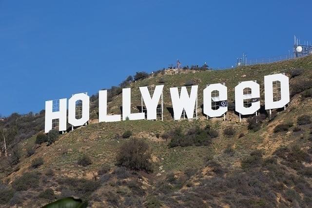 「HOLLYWOOD」が「HOLLYWeeD」に