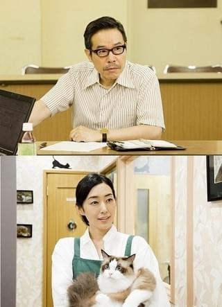 実写映画「ねこあつめ」、猫だらけの特報完成！田口トモロヲ、木村多江らも出演