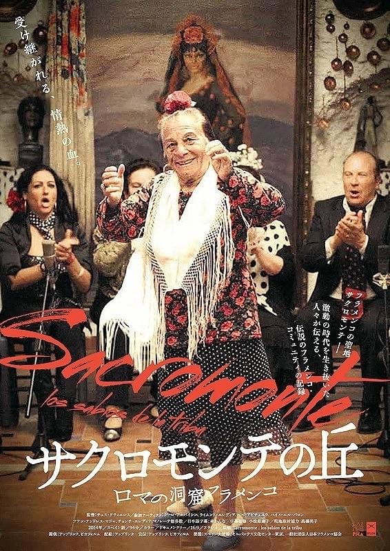 これぞ“生の芸術”！フラメンコの聖地映し出す「サクロモンテの丘」本編映像