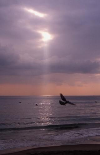 佐藤泰志の初期代表作「きみの鳥はうたえる」、三宅唱監督メガホンで映画化！