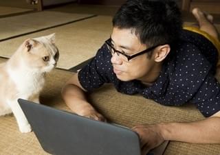 仕事中も晩酌タイムも…いつも猫と一緒！実写「ねこあつめの家」予告編