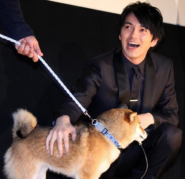 柴犬のチョコともサプライズで再会