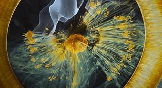 テレンス・マリックの映像美を生み出した舞台裏「ボヤージュ・オブ・タイム」メイキング動画