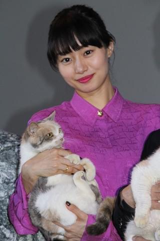 伊藤淳史「ねこあつめの家」でのネコたちの名演技に脱帽