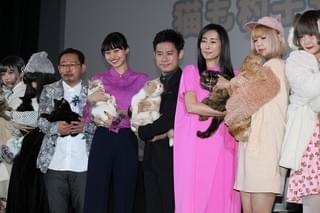 伊藤淳史「ねこあつめの家」でのネコたちの名演技に脱帽