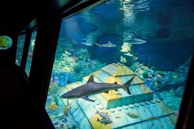 世界3カ所にしかないレアアトラクション