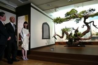 「花戦さ」高橋克実＆森川葵、松を大胆に使用した巨大いけばなに感嘆！