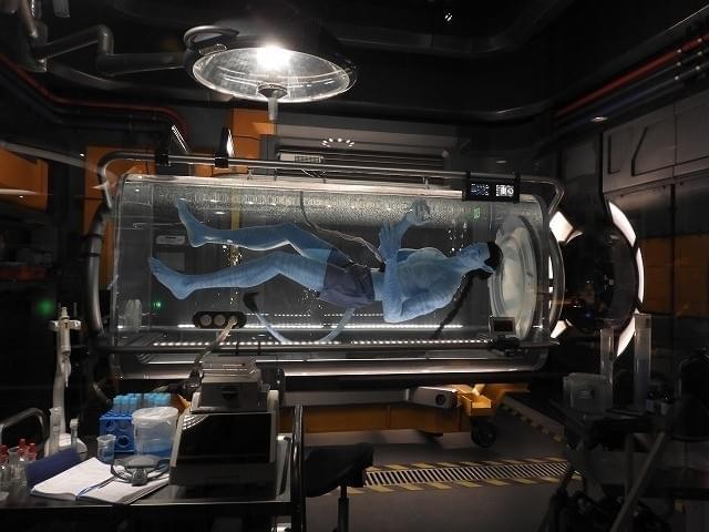 「アバター・フライト・オブ・パッセージ」 ではゲストも“アバター”になれる！