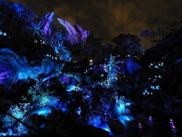 夜は一層エキゾチックに