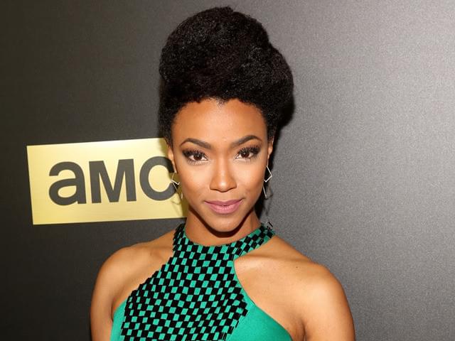 「ウォーキング・デッド」女優が 神舟丸の副長に！