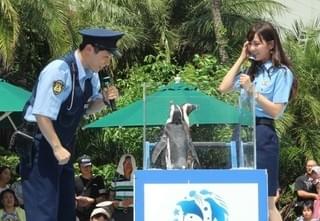 横山だいすけ、“うたのおにいさん”の本領発揮！ペンギンの前で“ペンギンの歌”披露
