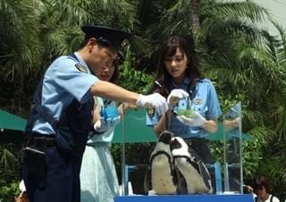 横山だいすけ、“うたのおにいさん”の本領発揮！ペンギンの前で“ペンギンの歌”披露