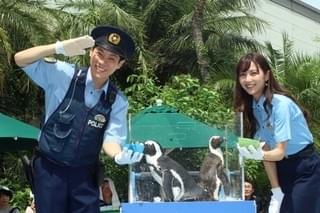 横山だいすけ、“うたのおにいさん”の本領発揮！ペンギンの前で“ペンギンの歌”披露