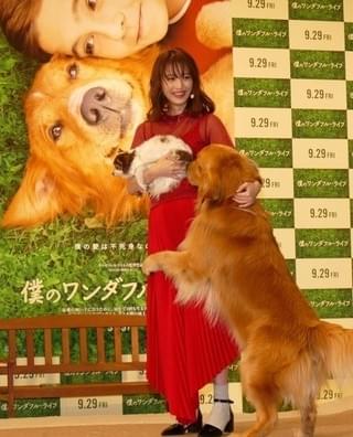 愛犬家・佐々木希、「僕のワンダフル・ライフ」に「とにかく泣きました」