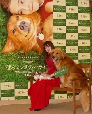 愛犬家・佐々木希、「僕のワンダフル・ライフ」に「とにかく泣きました」