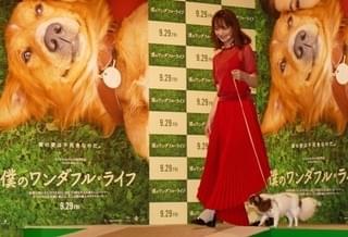 愛犬家・佐々木希、「僕のワンダフル・ライフ」に「とにかく泣きました」