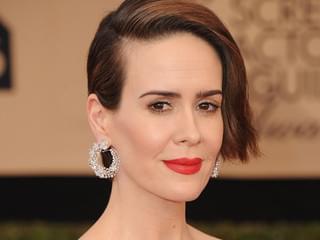 サラ・ポールソン「ゴールドフィンチ」映画化に出演