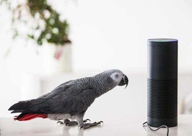 アマゾンのAI・アレクサ、ゴールデングローブ賞の勝者を予想