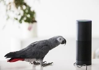 アマゾンのAI・アレクサ、ゴールデングローブ賞の勝者を予想