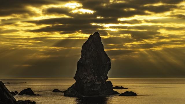 オープニング上映で初披露!