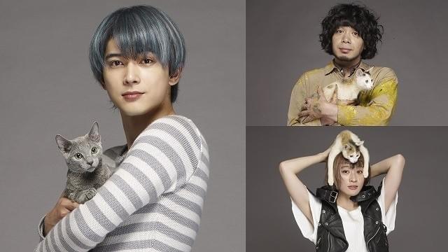 吉沢亮、沢尻エリカ主演「猫は抱くもの」で“美形猫”に！峯田和伸＆コムアイも出演