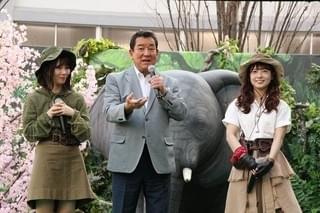 加山雄三、乃木坂46・斉藤優里＆川後陽菜と「マジジュマンジー！」絶叫