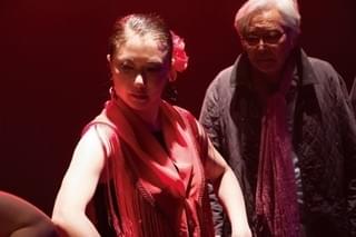 「家族はつらいよ」夏川結衣のフラメンコ姿公開！