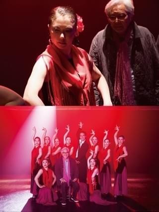 「家族はつらいよ」夏川結衣のフラメンコ姿公開！