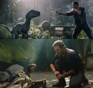 「ジュラシック・ワールド」超絶キュートなラプトル4姉妹シーン公開！