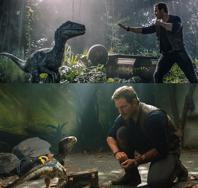 ブルーとの再会(上)だけではなく 幼少期の触れ合い(下)も描かれる