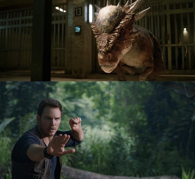 恐竜スティギモロクは 堅く巨大なドーム型の頭部が特徴的