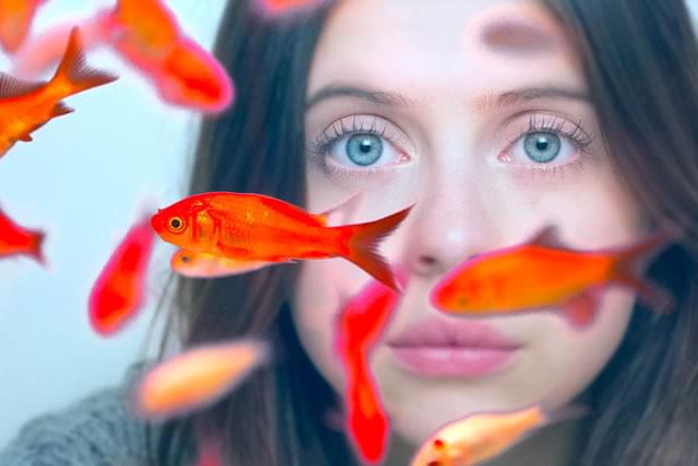 ハーバード大学卒・IQ185の天才なのに 恋人も友達もいないし、仕事もない！