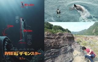 化石のプロが激白！太古の超巨大ザメ“MEG”、今も日本のどこかに？