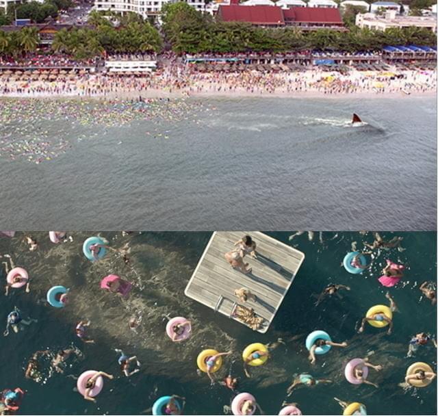 これを見たら、海水浴に行けなくなること必至!?