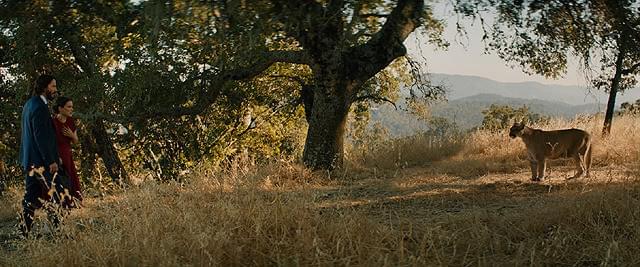 結婚式を抜け出した2人が思わぬ動物に遭遇?